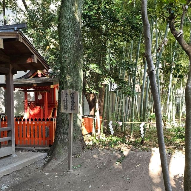 神戶生田神社〔金龍泉〕結緣之水