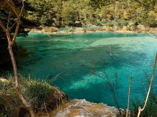 Huohuahai to Shuanglonghai [Must-visit places in Jiuzhai Valley National Park] 