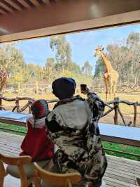 預算500 兩大一小雲南野生動物園親子遊攻略