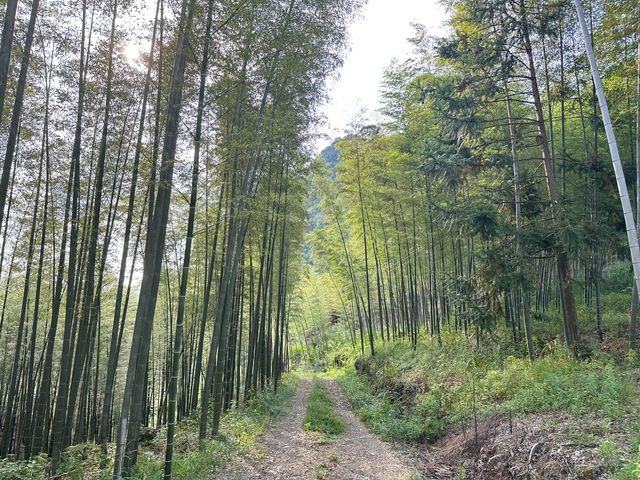 鹹寧·金櫃山｜和仙島湖一樣的美景