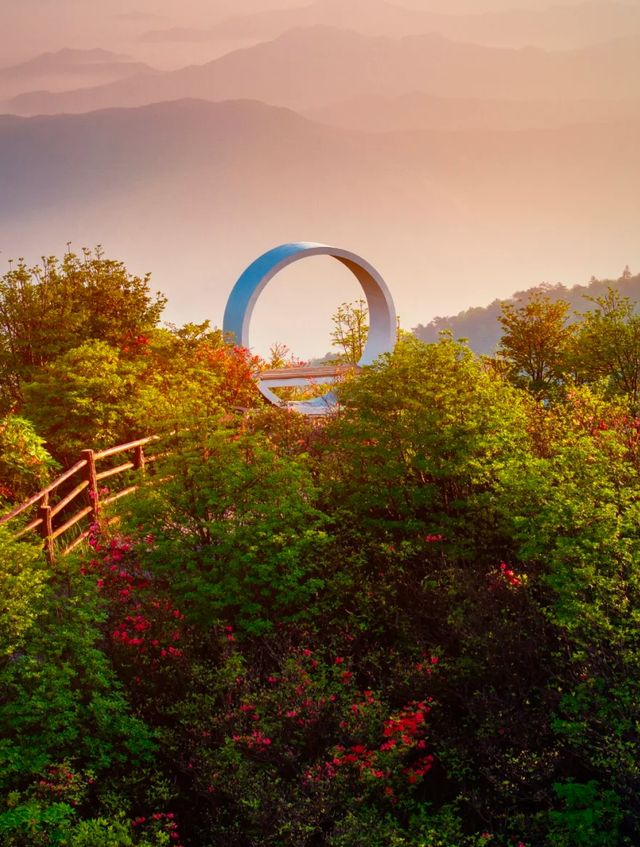 一春花事，以大圍山的星空花海日出結尾