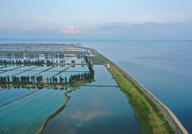 南京避暑好去處 - 石臼湖。