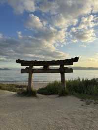 Exploring the World of Naoshima