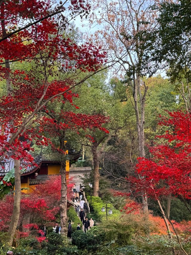 一份永福禪寺的旅遊攻略