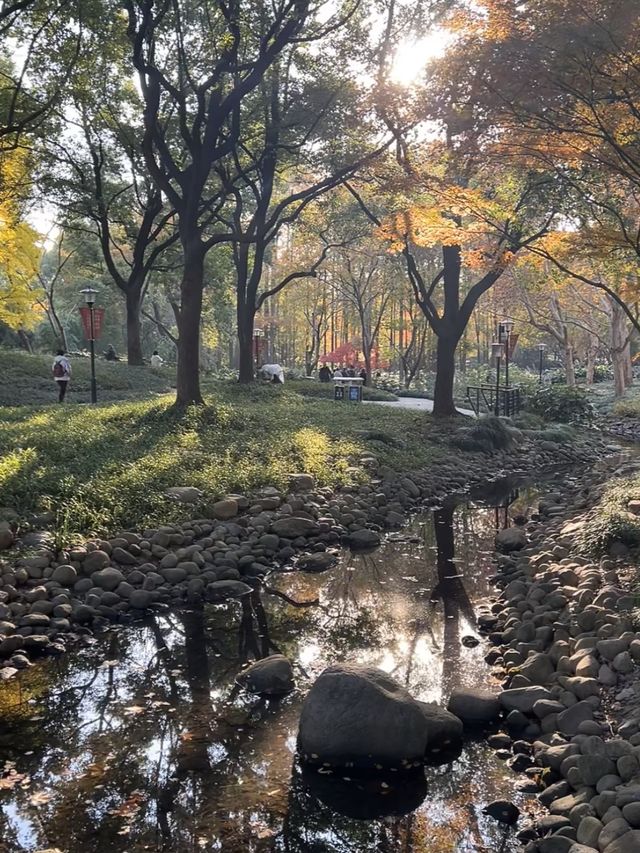 逛市區公園絕美景點