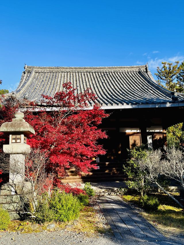 日本·京都清涼寺