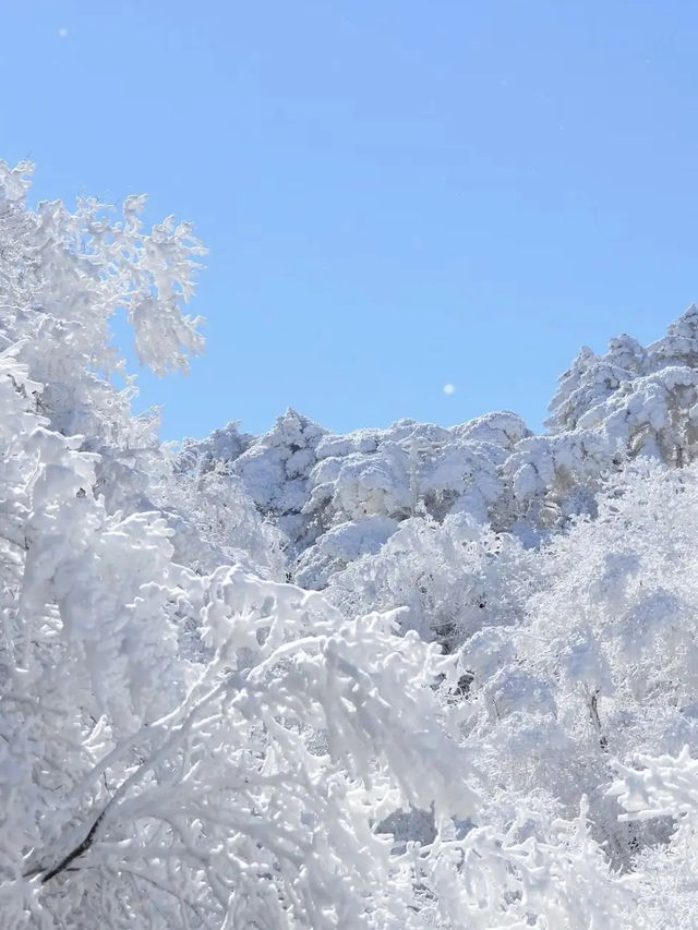 黃山霧凇：冬日仙境的冰雪奇緣