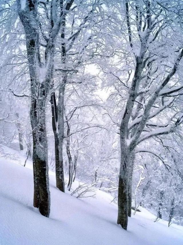 成都附近玩雪好去處