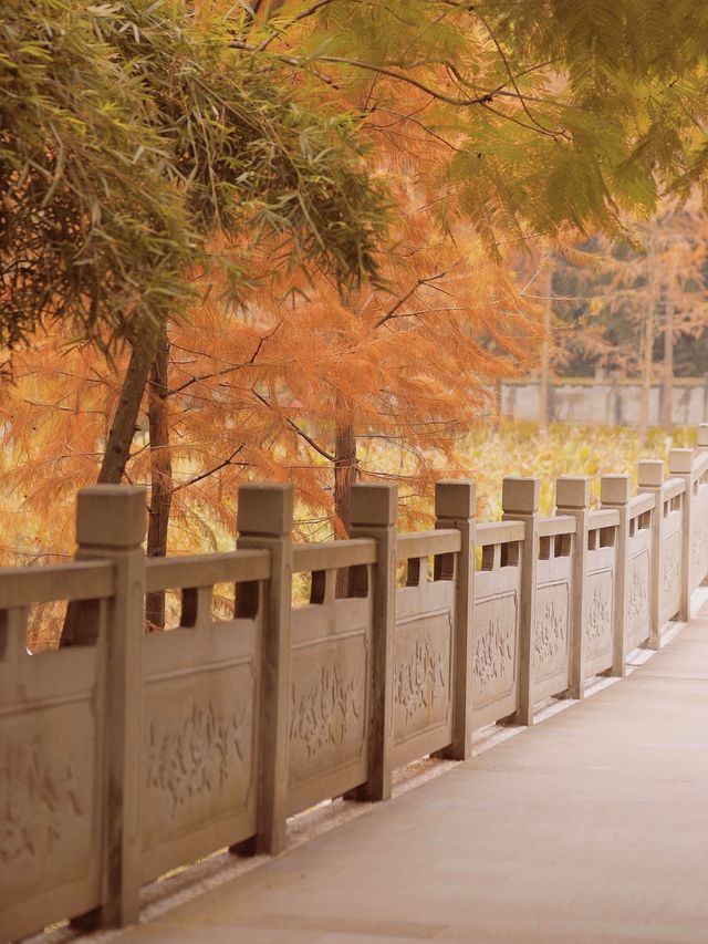 重慶彩雲湖濕地公園