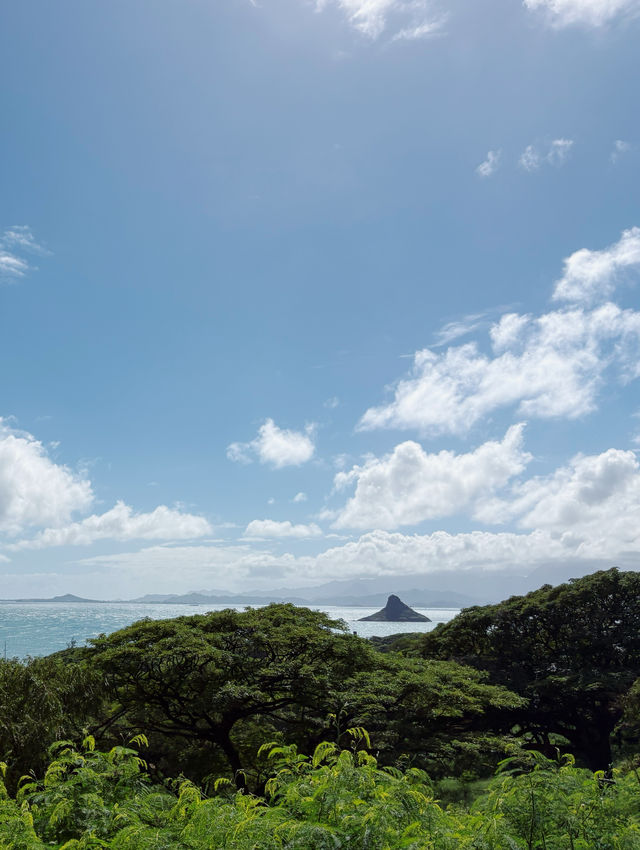 歐胡島｜冬季海島遊～愜意度假之旅