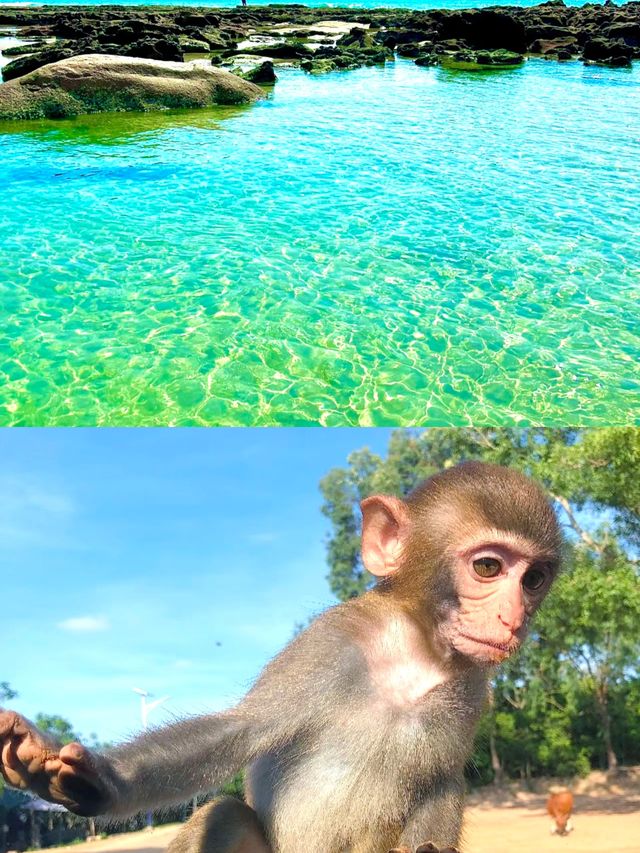 走走停停｜生態旅遊區南灣猴島