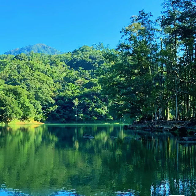 十和田湖：春天好去處，感受大自然的澄淨魅力