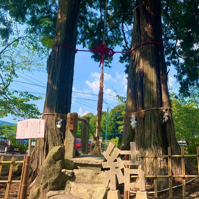 佐賀景點｜據說有神明居住的3000年大楠樹—佐賀武雄神社