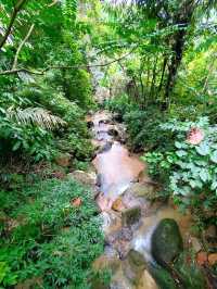 Exploring the Penang Hill Biosphere Reserve