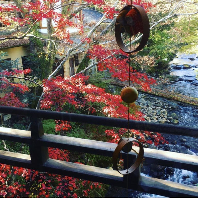 【伊豆 修善寺温泉 湯回廊 菊屋】ピカピカの廊下に映り込む絶景