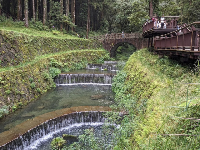 神怡流瀑✨阿里山的新景點✨