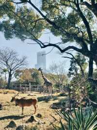 綠野微光：天王寺動物園的自然樂章