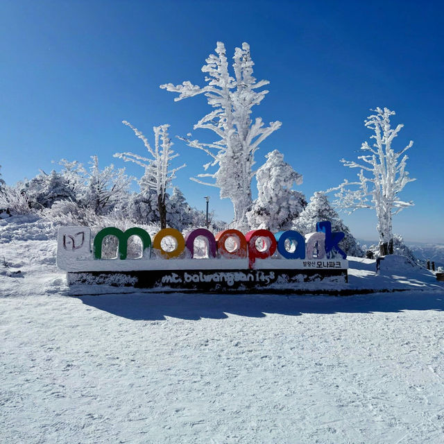 Magical Winter Wonderland at Yongpyong Ski Resort!