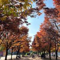 Yeouido Hangang Park