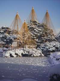 【雪の兼六園】冬旅のおすすめ兼六園