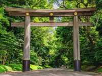 Serenity in the Heart of Tokyo