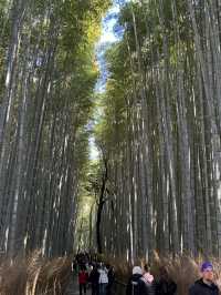 京都周邊嵐山公園