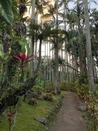 沖繩·東南植物樂園｜赴一場童話般的綠野仙蹤