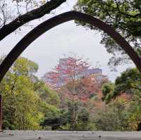 記住這裏❗️在廣州可以不花錢呆一天的公園