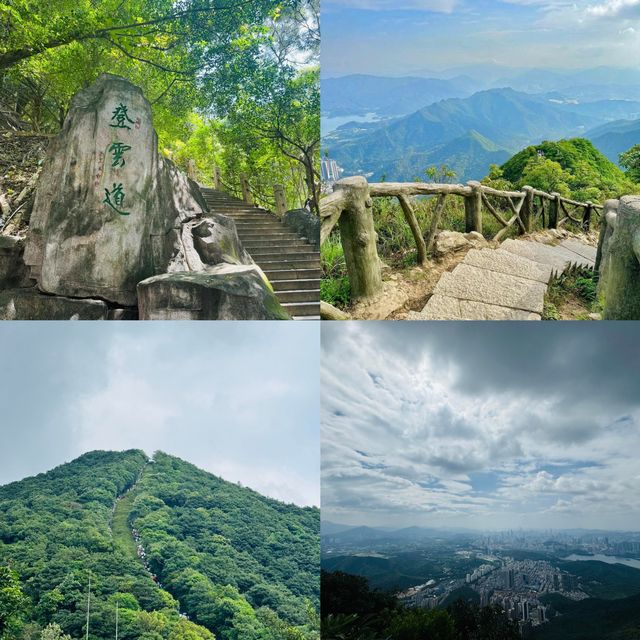 梧桐山的奇幻漂流，我竟然被「山」迷住了！。