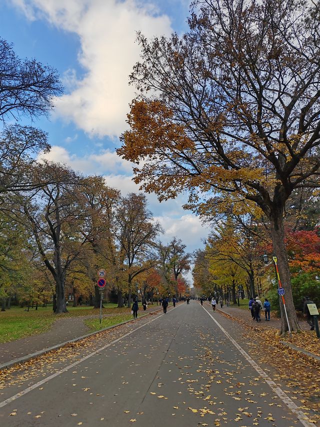 札幌北海道大學楓紅景色。