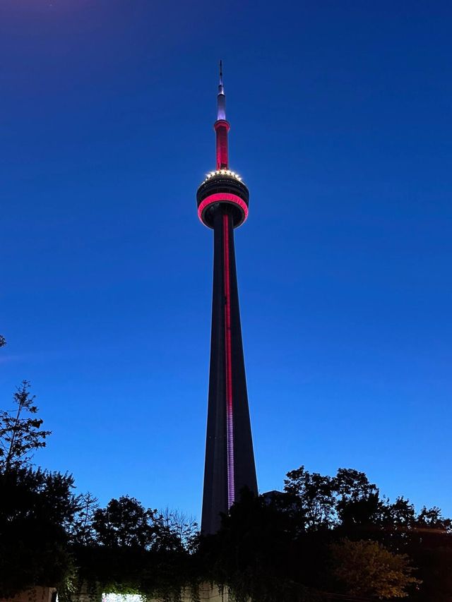 CN Tower不愧是多倫多標誌性建築，震撼到了！！。