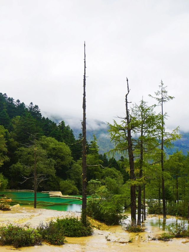 九寨溝-黃龍3日遊 玩轉雙景不踩坑超詳細攻略。