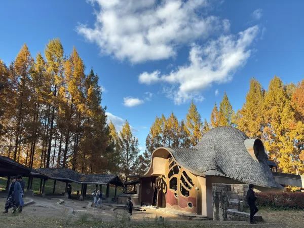 Discover the Enchanting Moomin Children's Forest Park in Saitama, Japan