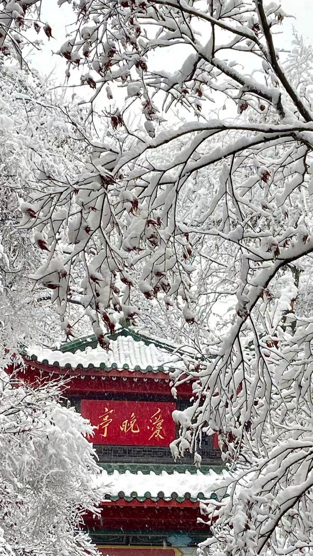 當橘子洲遇上雪