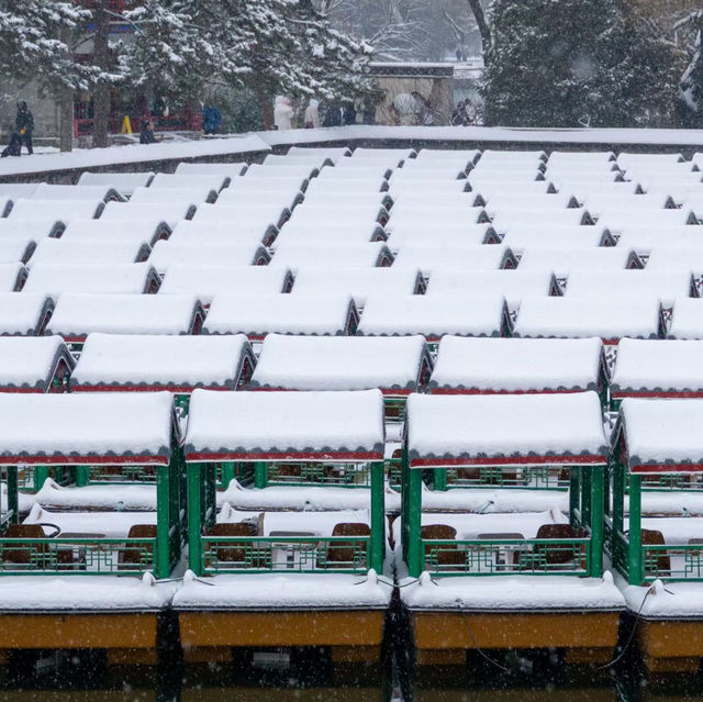 Winter in Beijing 🇨🇳 The Forbidden City 