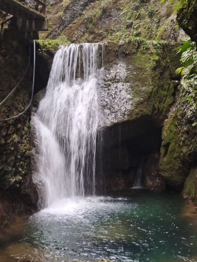 成都——都江堰青城山（後山）