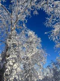 跨年滑雪優選雪鄉等地超詳細攻略速覽