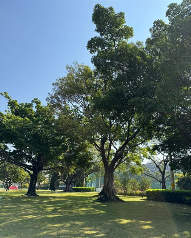 廣州會展公園，解鎖放鬆新勝地