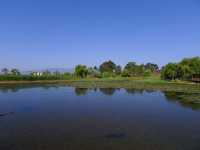 撫仙湖·月亮灣濕地公園——在雲南「看海」