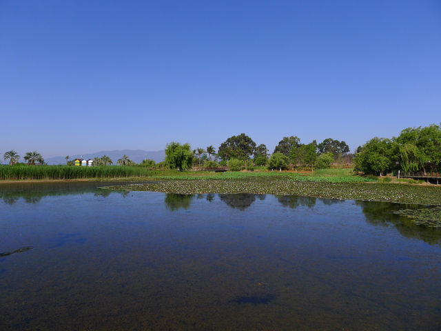 撫仙湖·月亮灣濕地公園——在雲南「看海」