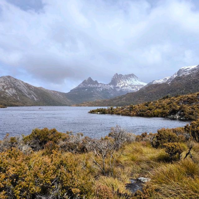 Tasmania Cradle mountain 