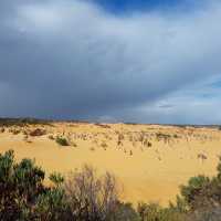 **A Journey Through the Pinnacles: Nature’s Spectacular Masterpiece**