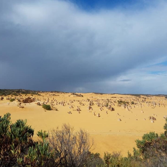 **A Journey Through the Pinnacles: Nature’s Spectacular Masterpiece**