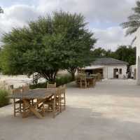 Heenat Salma: A Green Haven in the Heart of Qatar 