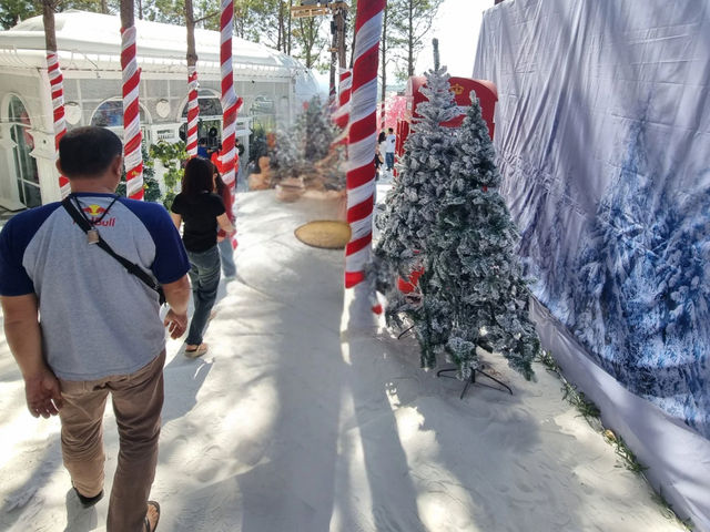 Snow Festival ในไทย หิมะสีขาว กับอากาศหน้าหนาว