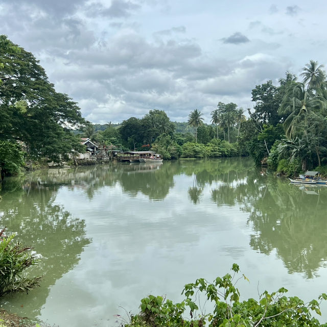 A peaceful jungle village hotel next to Loboc river 