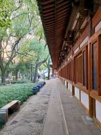 Cultural Gem in Suzhou