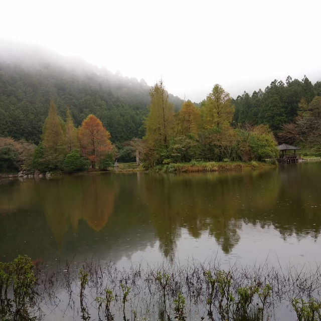 明池國家森林遊樂區