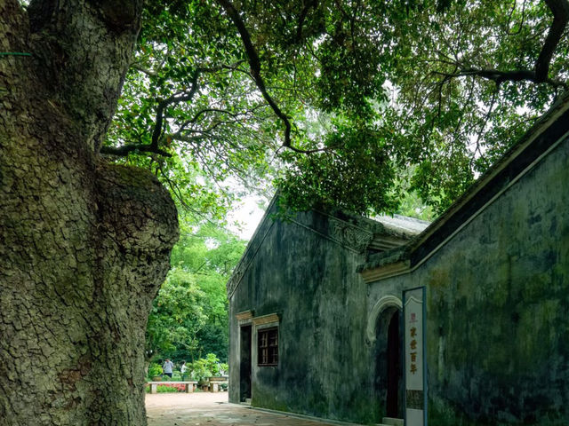  珠海共樂園 | 三大名園之一，藏在歲月里的嶺南園林美學