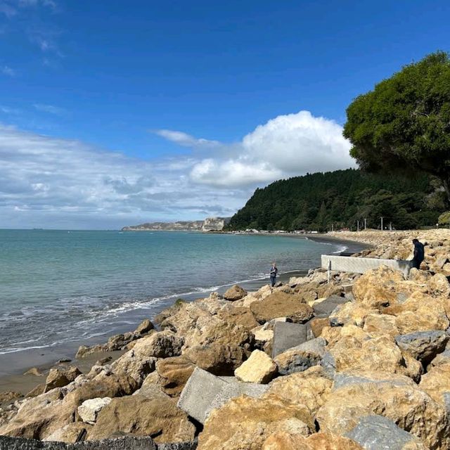 Take a Scenic Drive to Cape Kidnappers